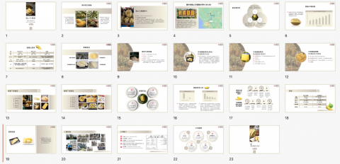 好日子企劃AGoodDayPlan - 商業簡報製作_食品類(榴蓮) 好日子企劃AGoodDayPlan - 商業簡報製作_食品類(榴蓮)