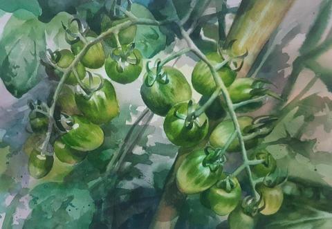 安捏畫 - 水彩作品