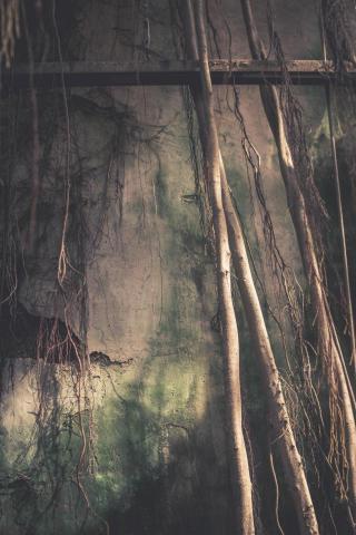 林映瑄 - 攝影/調色