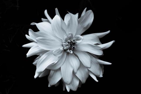 林映瑄 - 攝影/調色