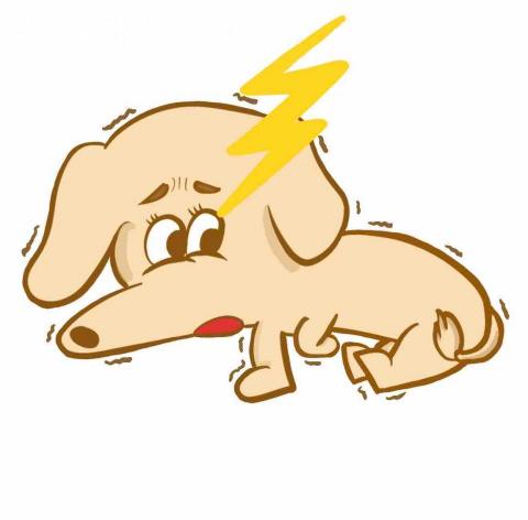 楊安 - 卡通奶油臘腸犬