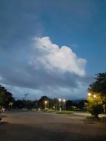 李蓁熙 - 油畫感