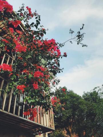 李蓁熙 - 簡風景（些微調整）