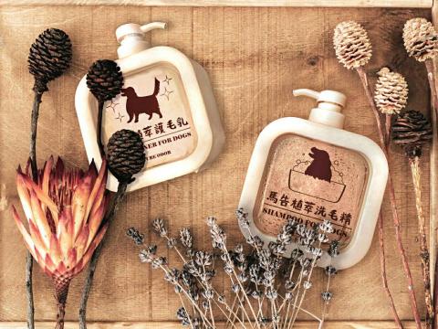 泰迪 - 畢業展產品照片修圖