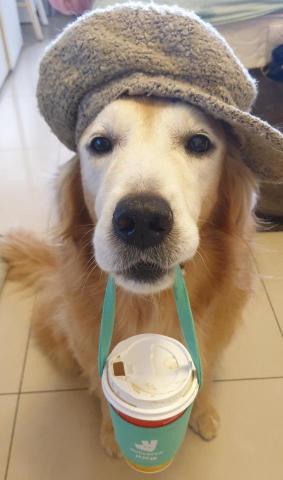 秀秀 - ~~~~~~~很高興為你服務~~~~~~~~~