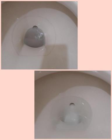 絨絨 潔淨家空間細緻  清潔社 - 馬桶水垢 絨絨 潔淨家空間細緻  清潔社 - 馬桶水垢