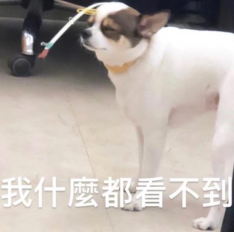 提供183天稅服務的專家林冠憲