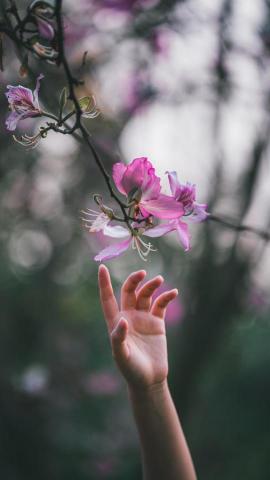 冬樹君 - 素人模特約拍意境照