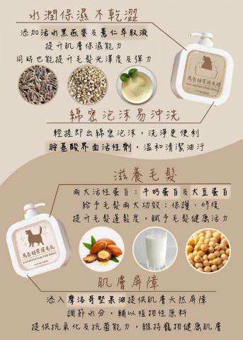 泰迪 - 雜誌、傳單、menu製作