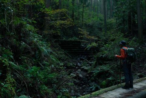 吳宙棋 - 戶外攝影/日本 熊野古道