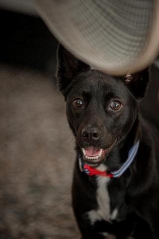 冬樹君 - 寵物照