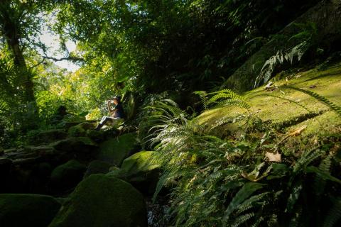 吳宙棋 - 戶外攝影/淡蘭古道