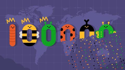 Una 動畫設計 - 如果昆蟲都消失了? 環境資訊中心-影片畫面