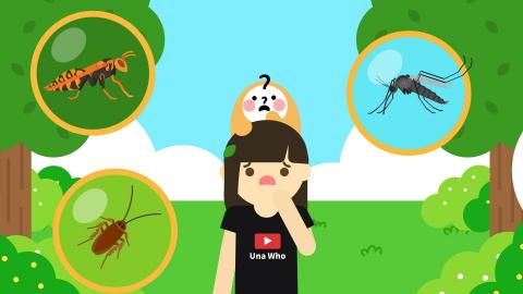 Una 動畫設計 - 如果昆蟲都消失了? 環境資訊中心-影片畫面