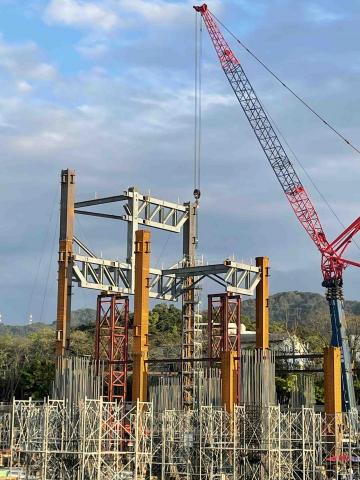 提供批土服務的專家林益嘉