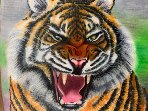 包子個人工作室 - 動物 包子個人工作室 - 動物