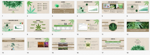好日子企劃AGoodDayPlan - 商業簡報製作_植物類 好日子企劃AGoodDayPlan - 商業簡報製作_植物類