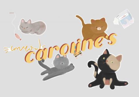 lycheeamericano co. - Stickers - Soft Spot （字樣為水印）