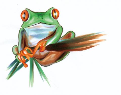 詹淇皓 - 麥克筆插圖練習