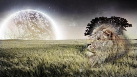 陳致霖 - 此為練習用途