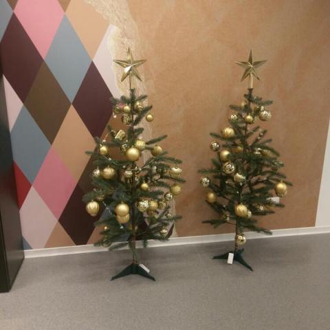 Michelle art - 拍攝1