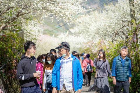 張廷禎 - 景點攝影