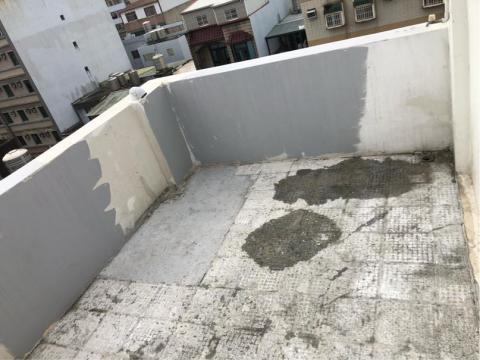 彩藝工程(油漆、防水) - 