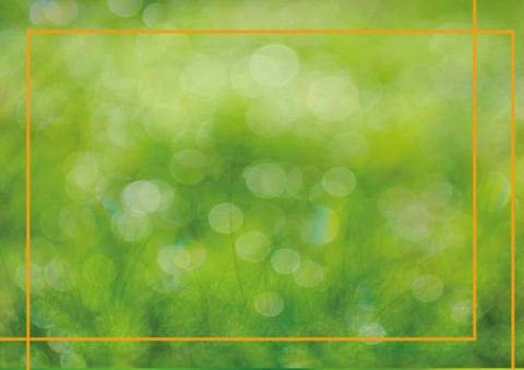 Michelle art - 淺色綠系