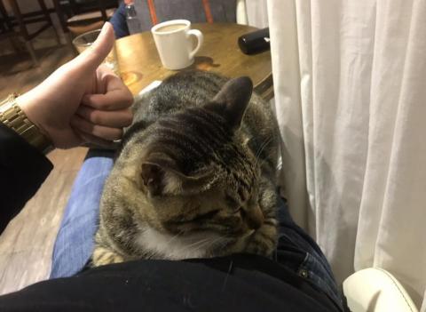 蕭義修 圍棋7段 - 