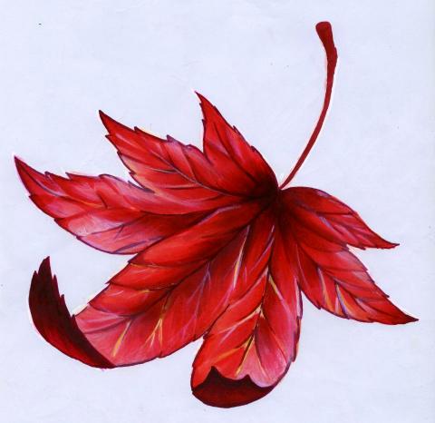 蘇冠璇 - 麥克筆