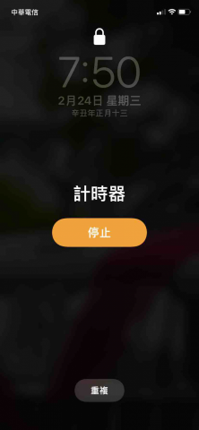 提供土城租車服務的專家蕭景政