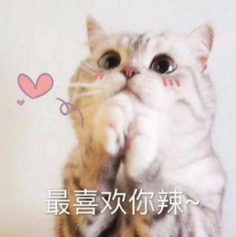 提供120服務的專家Emma綾