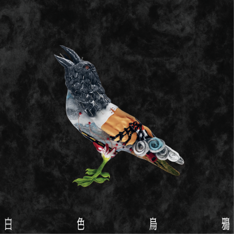 NING DESIGN - 專輯設計