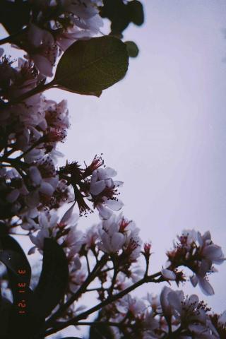 提供mood影服務的專家拾影