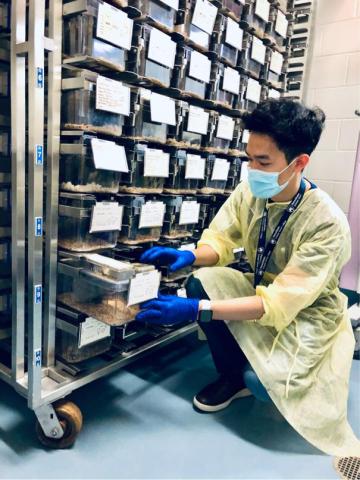 Chenyu - 研究生身分