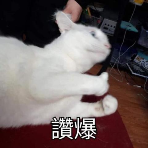 Mia 陳 - 希望您能滿意我的服務~