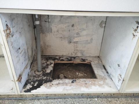 葉光銘 光木業室內裝潢 - 這是一個國小洗手台下的漏水櫃子委託 ，全部更新包含上方水電工程耗大。預算有限情況下，校方要求能否貼皮處理