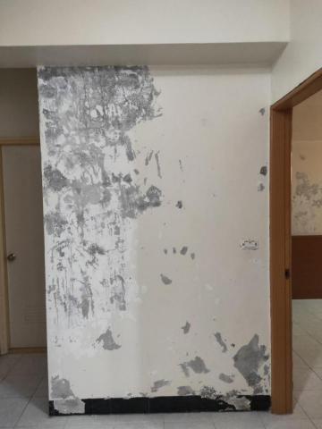 翔億微工程行 - 壁癌剔除