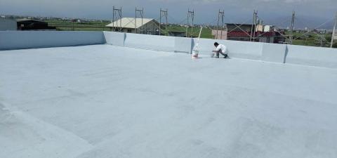 卓君 - 面漆第二層