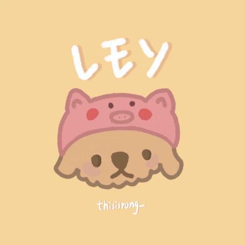 提供dcard寫手服務的專家黃琳容