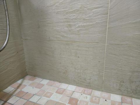 謝小姐居家清潔職人（謝依蓉） - 