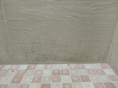 謝小姐居家清潔職人（謝依蓉） - 清潔前