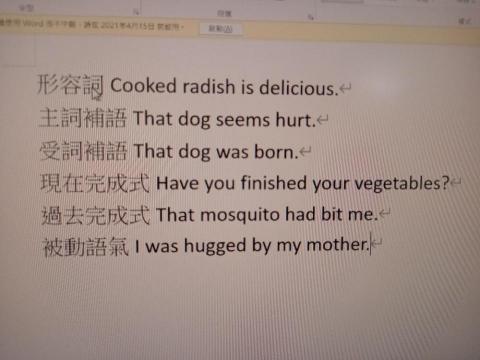 Batey英文家教班（外籍 女 澳洲台灣混血）學英文 高雄 - 網路視訊上課造句練習