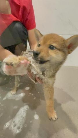 與你相遇寵物沙龍到府美學館 -  與你相遇寵物沙龍到府美學館 -