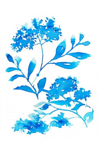 邱吉-插畫 - 手繪原稿
渲染水彩
花卉插畫