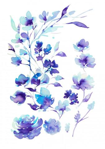 邱吉-插畫 - 手繪原稿
渲染水彩
花卉插畫