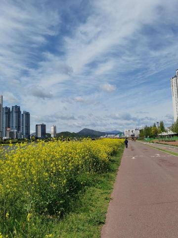 韓語學習 - 蔚山太和江畔