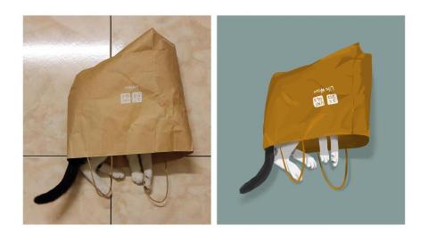 Han_插畫 - 可依照片畫成插圖