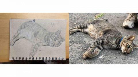 貝拉 - 貓咪素描