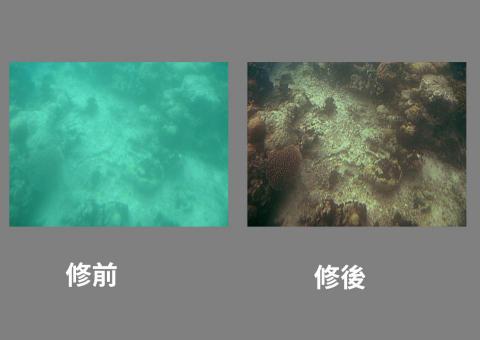 龍蝦咬土司 - 明暗銳利度調整